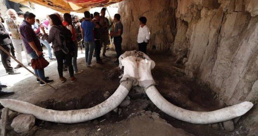 15,000-Year-Old Woolly Mammoth Traps Discovered Near Mexico City