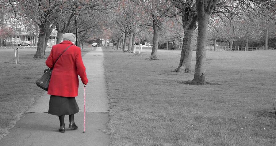 year walk help year walk help