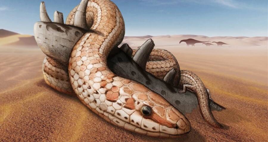 Rendering Of Najash Snake