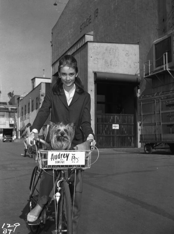 Aurey Hepburn With Her Yorkshire Terrier Mr. Famous
