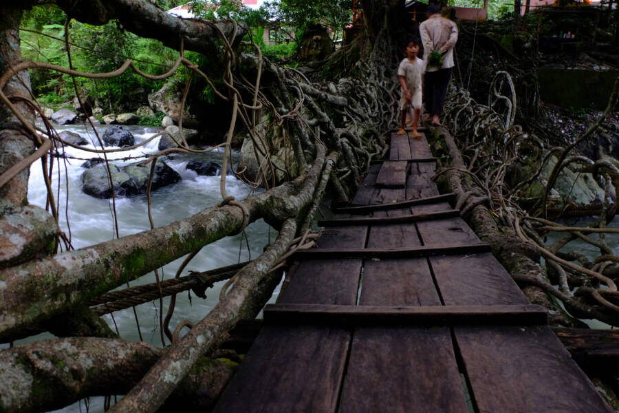 Bridge Over The Batang Bayang River