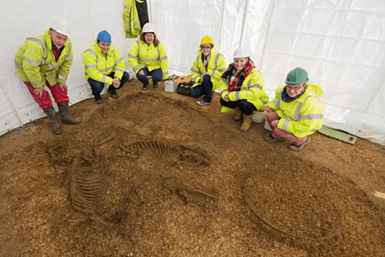 Ancient Celtic Warrior Grave With Horse, Chariot, And Rider Found In UK