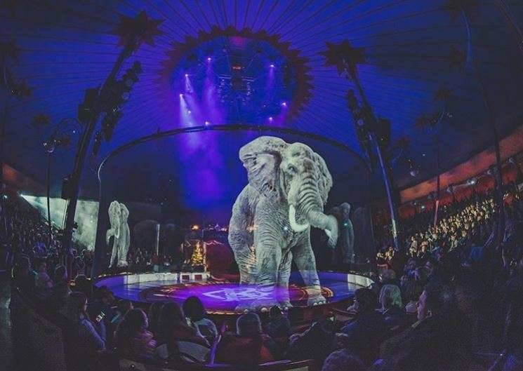 Circus Roncalli Elephant