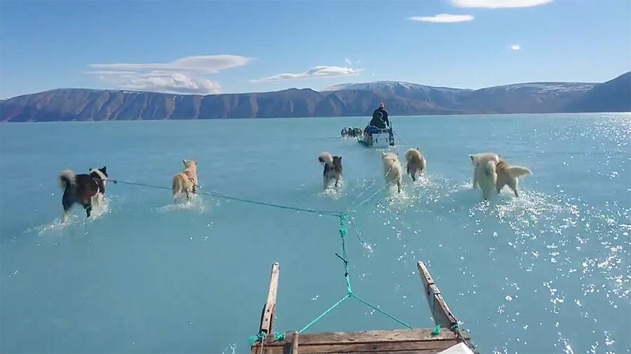 Greenland Ice Melt 2019