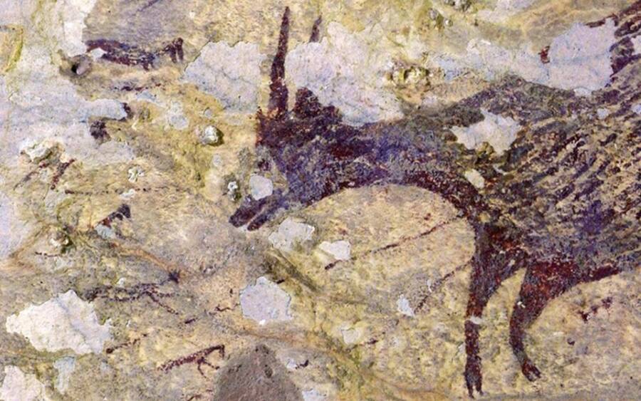 Indonesian Animal Cave Painting