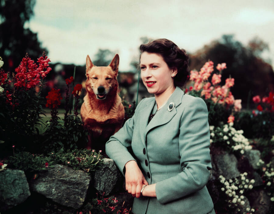 Queen Elizabeth II With Her Corgi