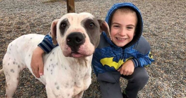 Roman Mcconn With White Dog