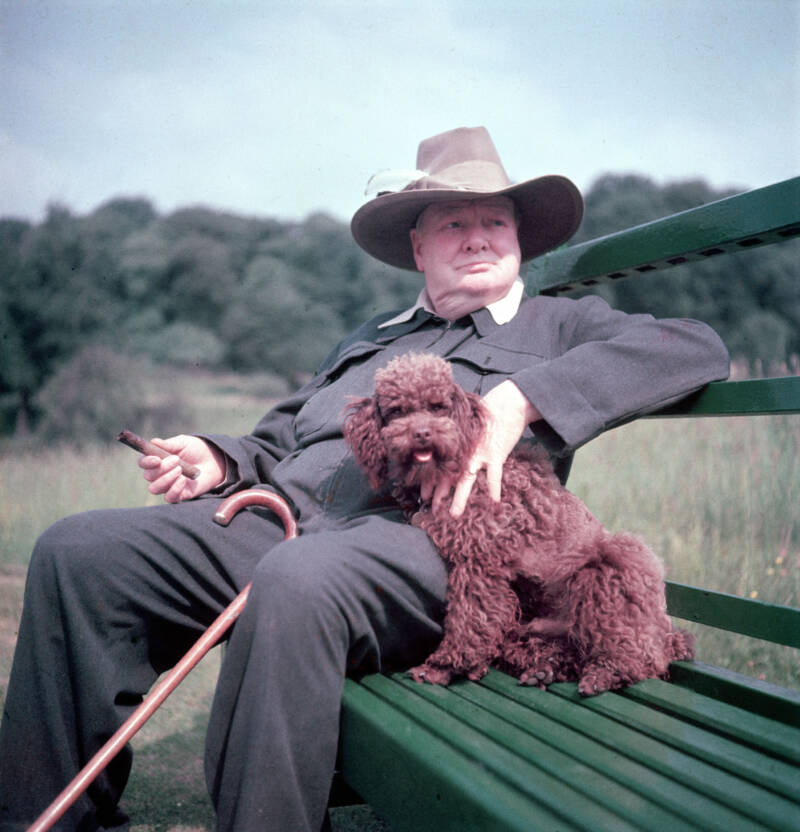 Winston Churchill With His Pet Dog