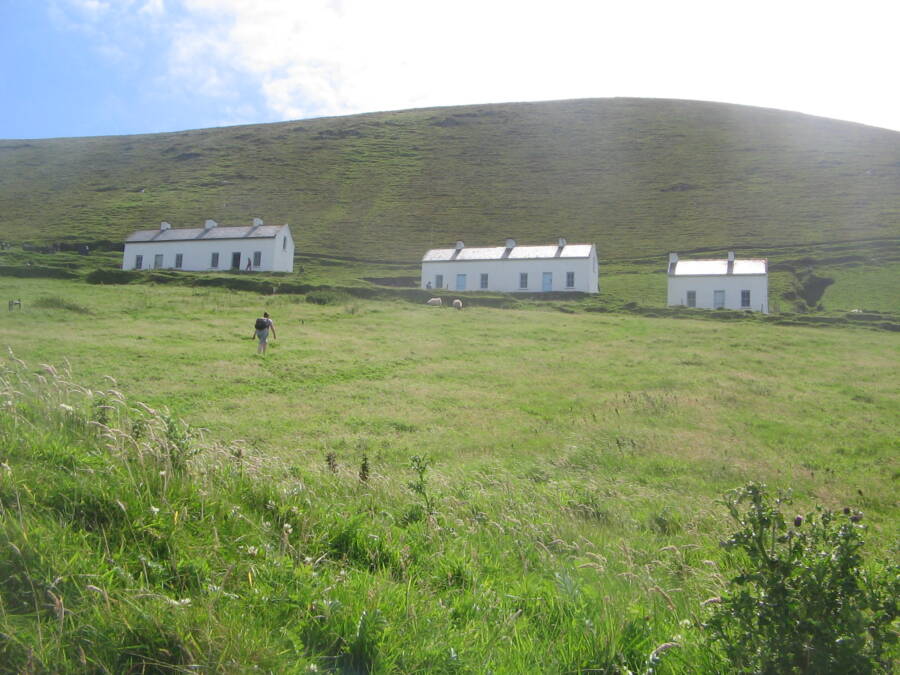 Blasket Guest Cottages