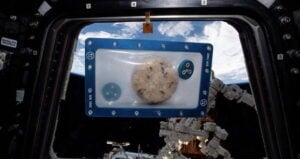 Cookie In Outer Space