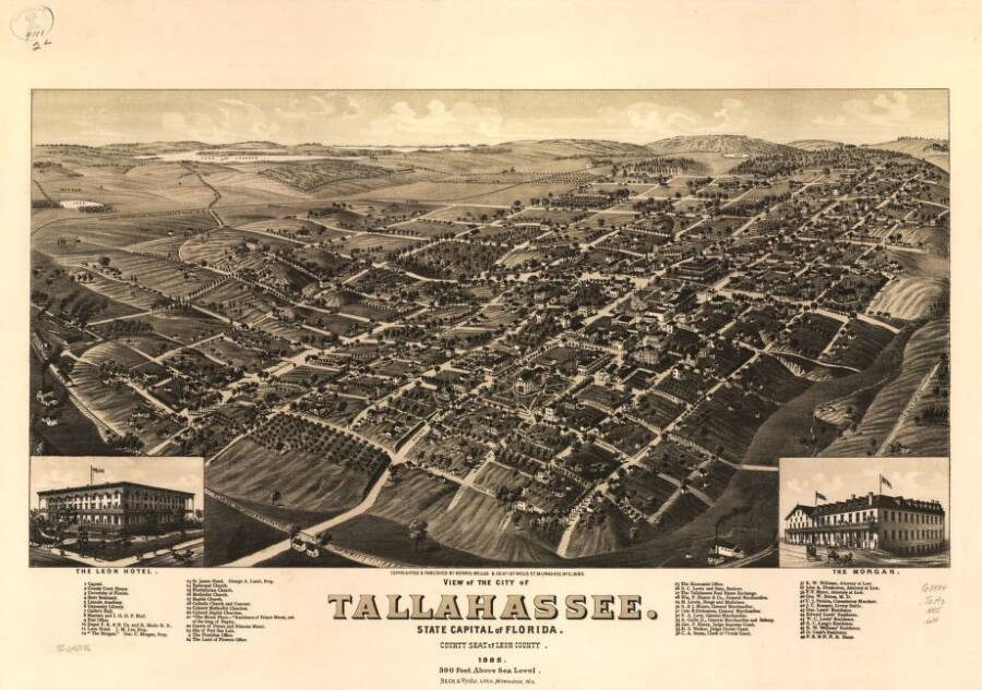 Illustrated Panoramic Maps Tallahassee Florida 1885