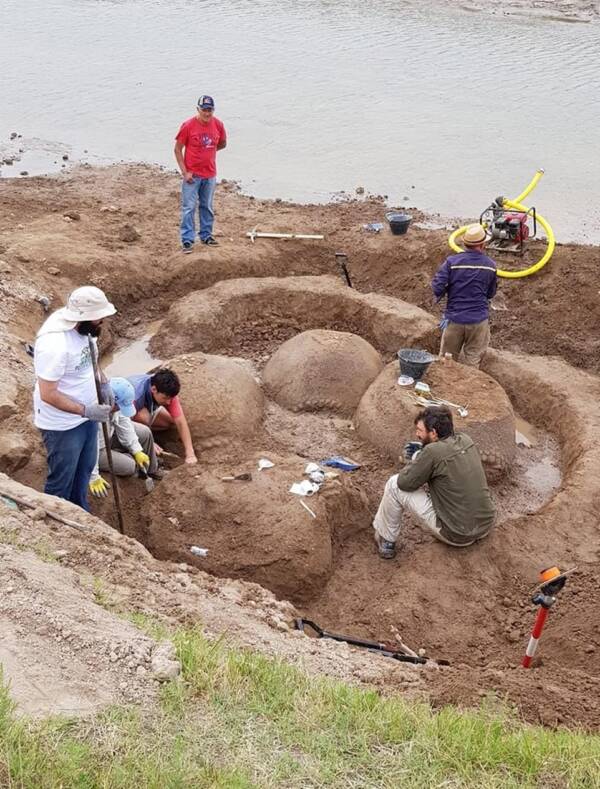 Argentinian Glyptodon Excavation Site