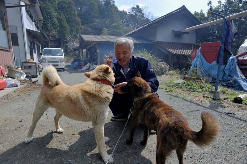 Matsumoto Pets Dogs