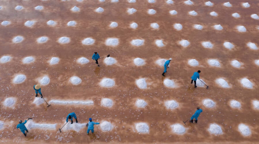Workers Harvesting Salt