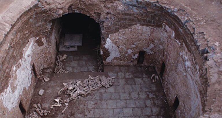 Ancient Donkey Skeleton In Tang Dynasty Tomb