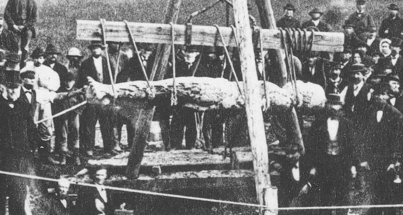 The Cardiff Giant, The Massive Stone Man That Fooled America