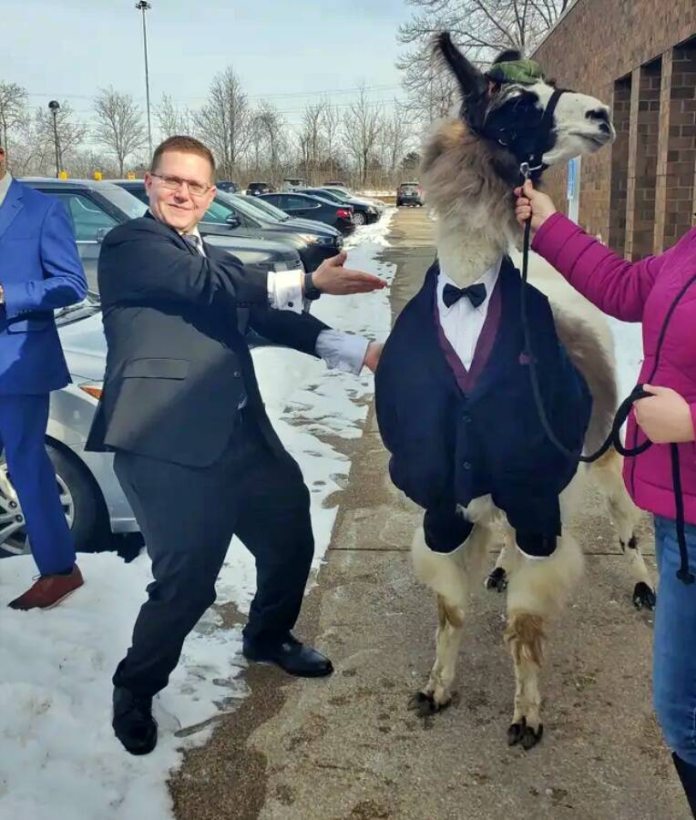 Mendl Weinstock With Wedding Llama