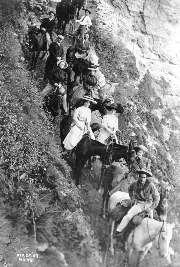 Mule Party Decending Canyon