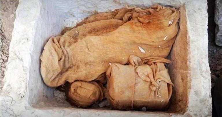 Thutmose Ii Stone Box