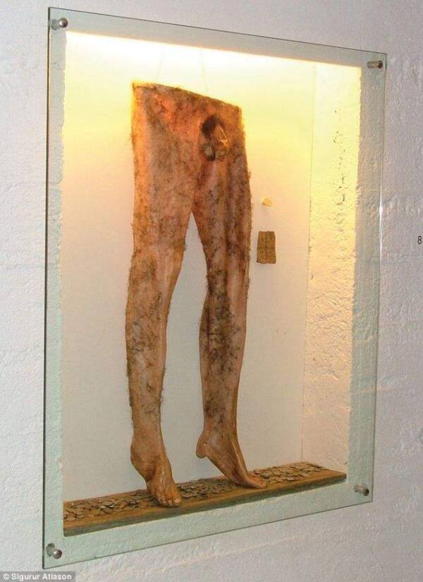 Necropants From Icelandic Sorcery Museum