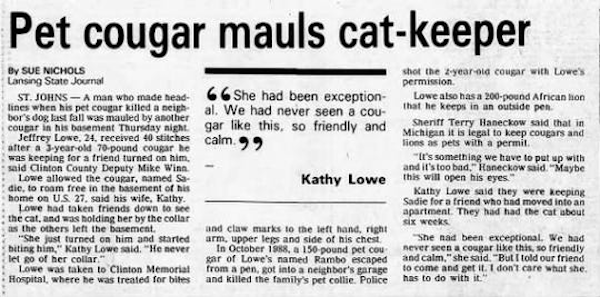 News Clipping Of Jeff Lowe Cougar Incident
