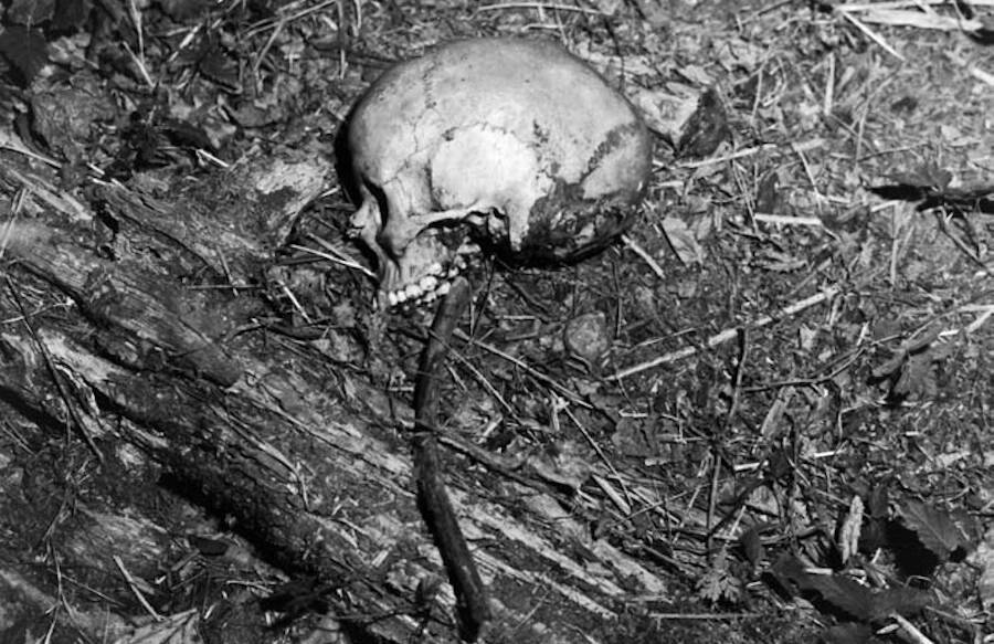 crime scene photos zodiac killer