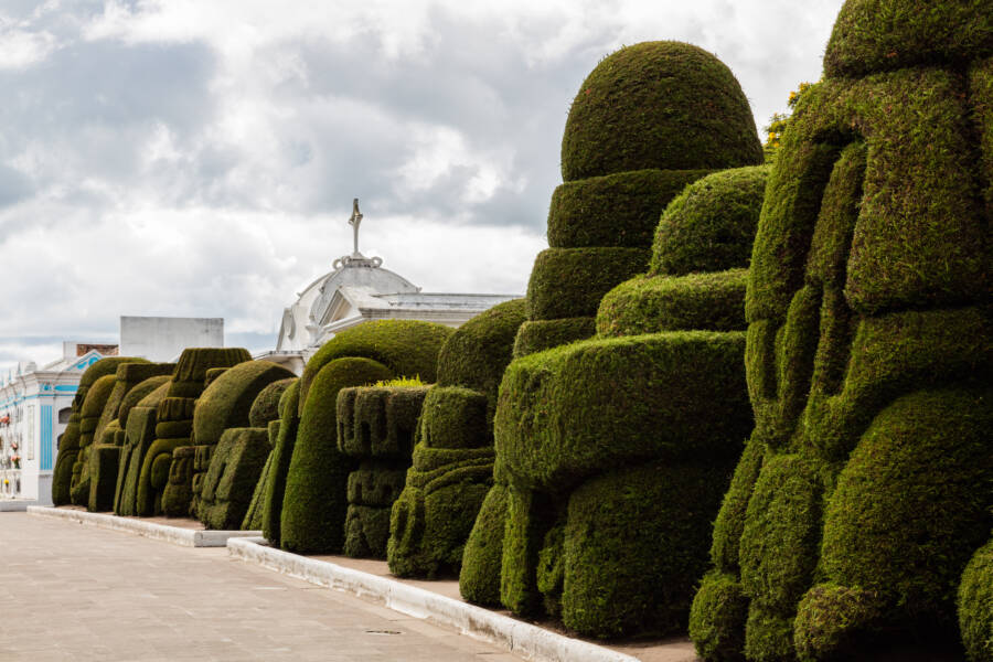 Ecuador Topiary Garden