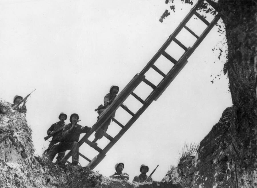Ladders On Okinawa