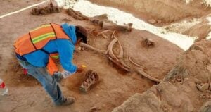 Mammoth Bones Site