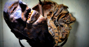 Peter Kurten's Head FEatured