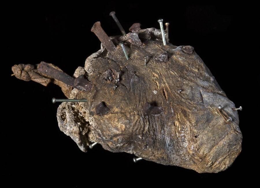 Sheeps Heart With Pins From Pitt Rivers Museum