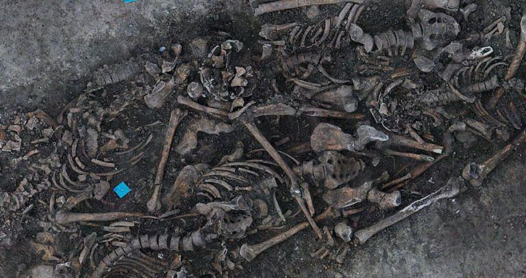 Timisoara Mass Grave Remains