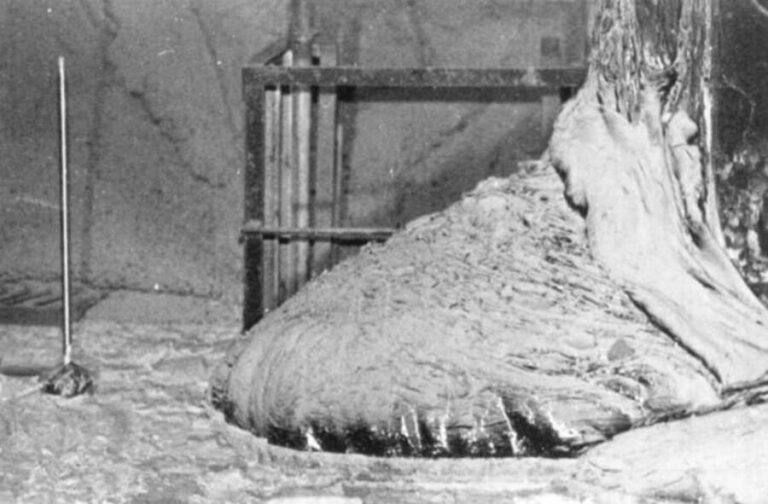 Discover The Elephant's Foot, Chernobyl's Lethal Nuclear Blob
