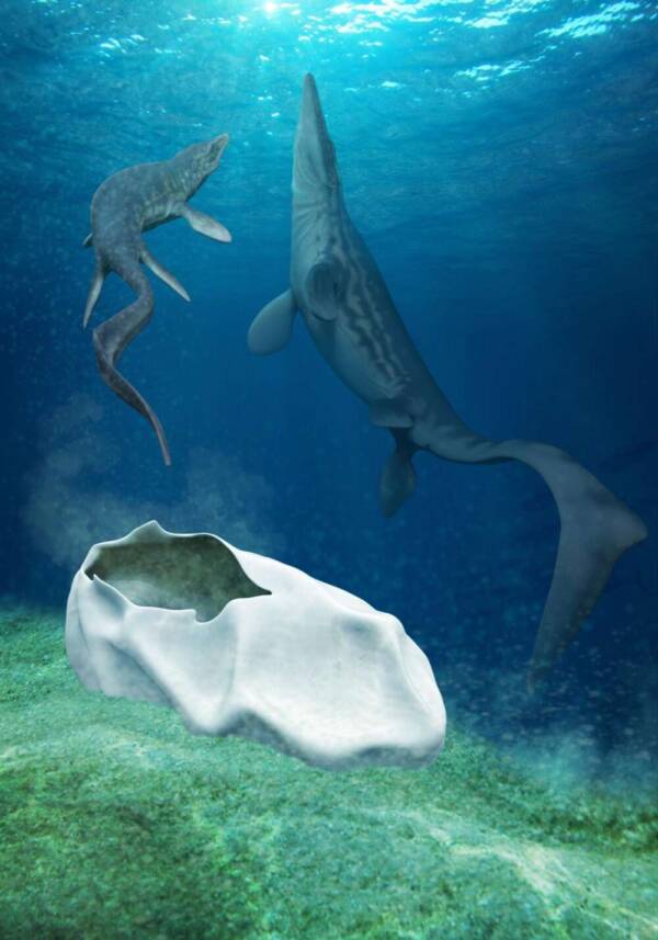 Illustration Of Mosasaur Hatching Underwater