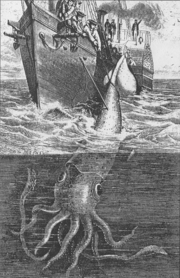 Illustration Of The Alecton Giant Squid