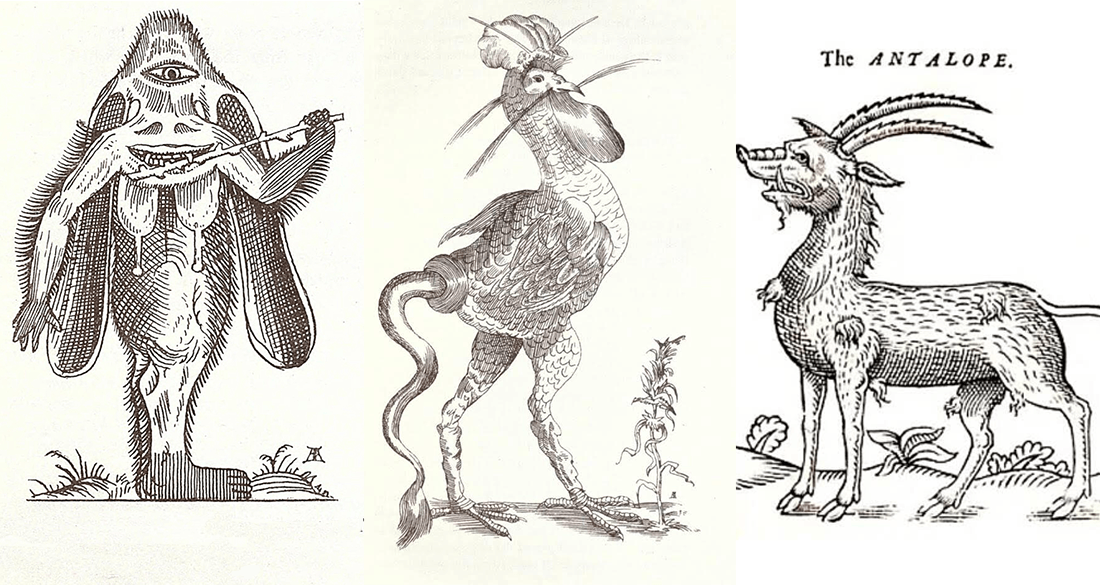 Scientific Drawings Of Mythical Creatures We Thought Were Real