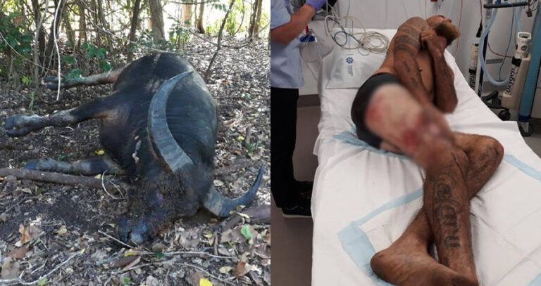 Dead Buffalo Vs Sherry