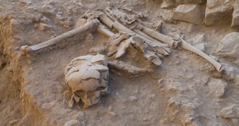 Human Remains With Skull