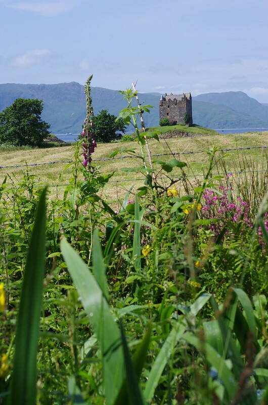 Castle Stalker From The Fields