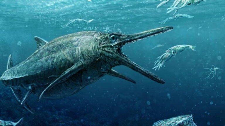 240-Million-Year-Old 'Megapredator' Had 12-Foot Reptile In Its Stomach