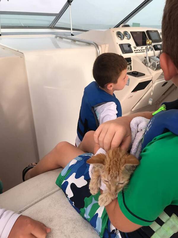 Passengers Comforting Rescued Cat