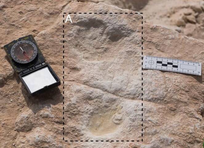Ancient Footprint