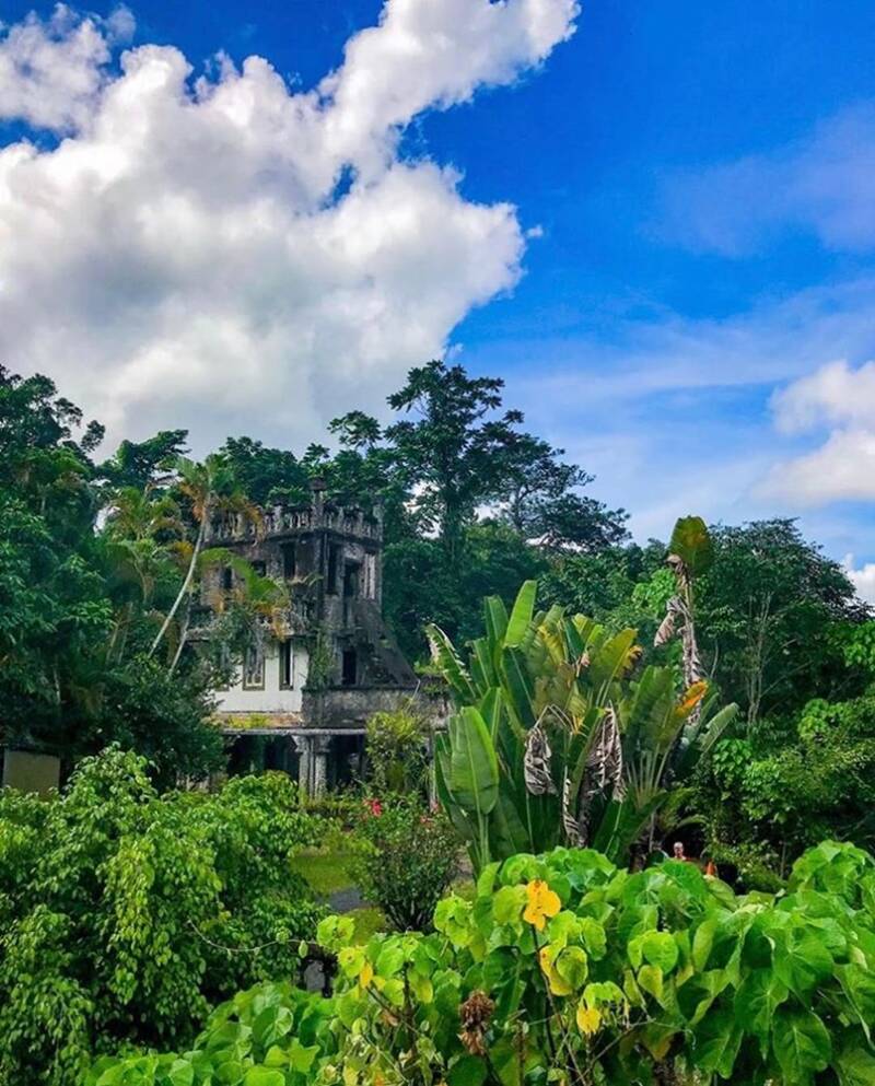 Castle In The Jungle