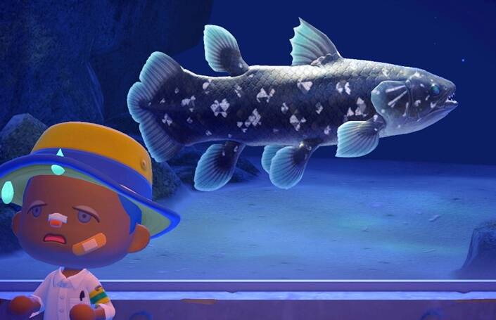 Coelacanth In Animal Crossing