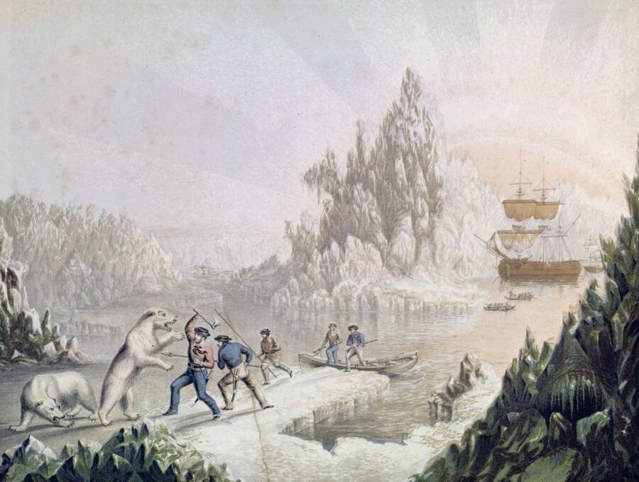 Crew Members Fighting Polar Bears