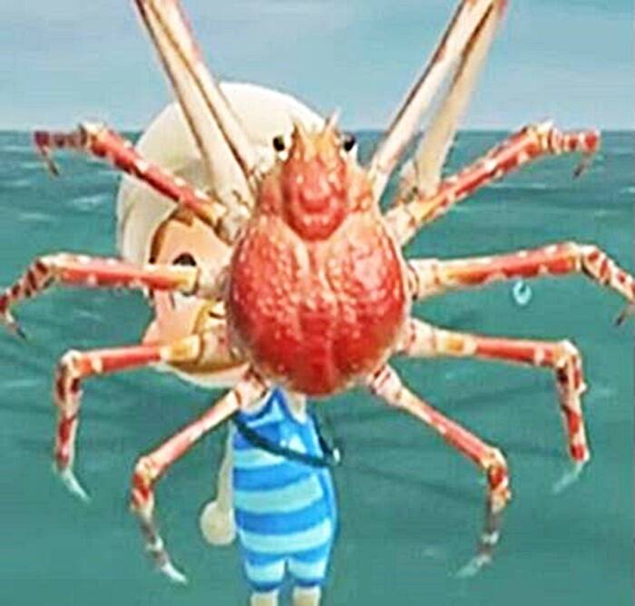 19 Of The Most Bizarre RealLife Creatures On Animal Crossing