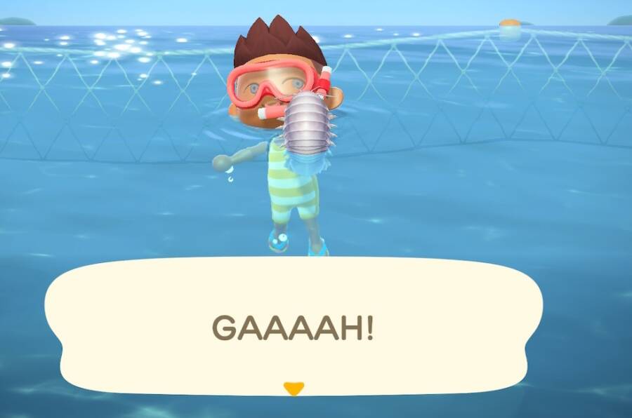 19 Of The Most Bizarre RealLife Creatures On Animal Crossing