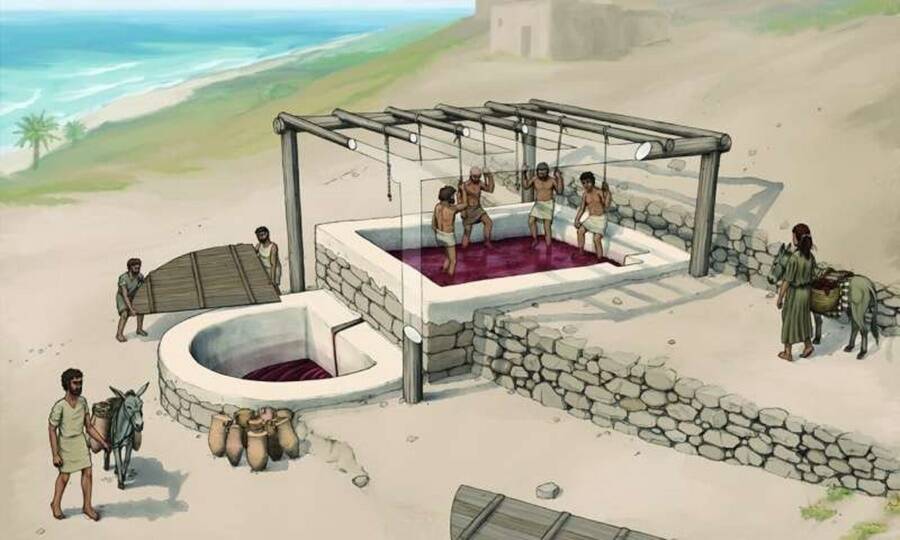 Reconstruction Of Phoenician Wine Press