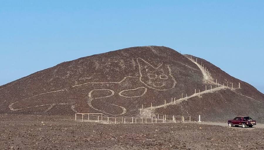Cat Geoglyph At Nazca Lines