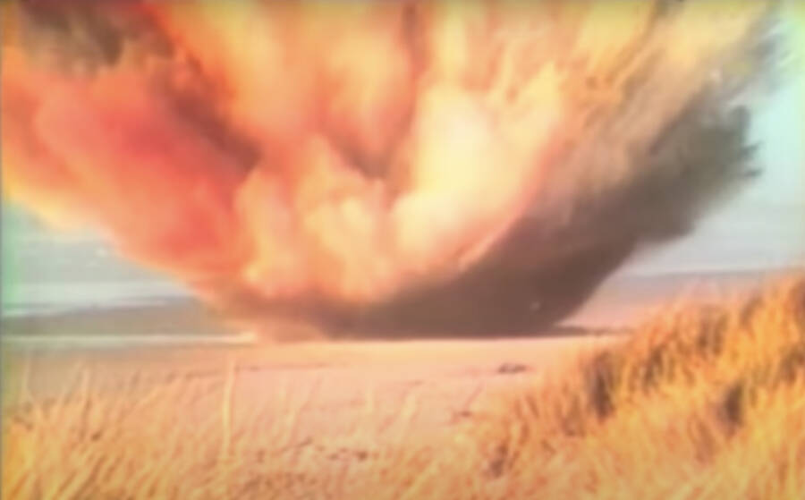exploding whale exploding whale